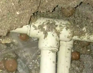 白沟测漏水多少钱