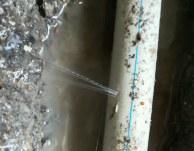 白沟测漏水哪家好