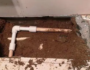 白沟测漏水哪家好