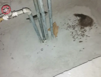 白沟卫生间测漏水价格明细