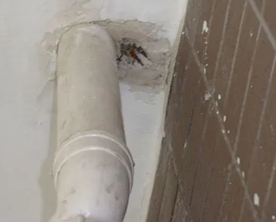 白沟漏水检测哪家好